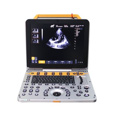 Küçük Hayvan Klinikleri için 15 inç P60V Taşınabilir Veteriner Renkli Doppler Ultrason Sistemi