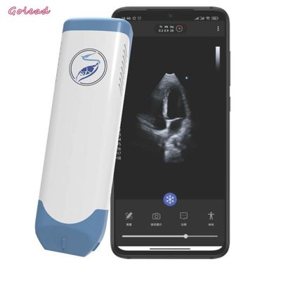 satın al 3.6MHz Taşınabilir Kablosuz Ultrason Probu Phased Array Dönüştürücü online manufacture