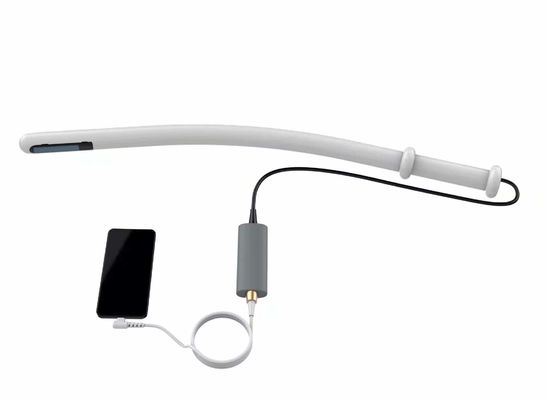 satın al At Sığırları İçin 8MHz Veteriner Taşınabilir Vet Ultrason online manufacture