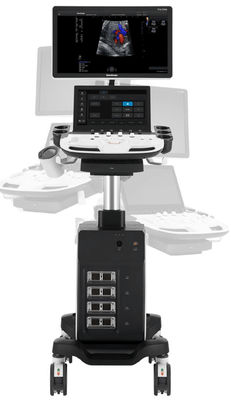 satın al 4 Dönüştürücü Konnektörlü 5D Trolley Sonoscape Echo Machine P11 Elite online manufacture
