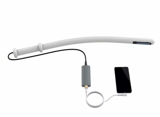 satın al Veteriner Ultrason Sistemi Sığır Ultrason Makinesi 4.0MHz 6.0MHz 8.0MHz online manufacture