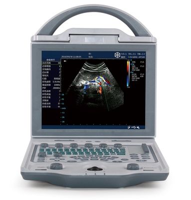 satın al Domuz 4.5 KG için 10.4 '' LED Ekran Veteriner Ultrason Taşınabilir Ultrason Makinesi online manufacture