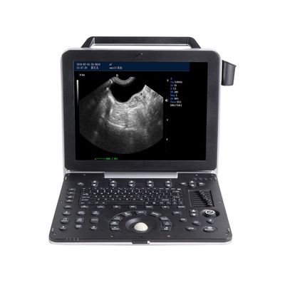 satın al 15 '' LCD Taşınabilir Veteriner Ultrason Makinesi 2D Gri Ölçekli Görüntüleme online manufacture