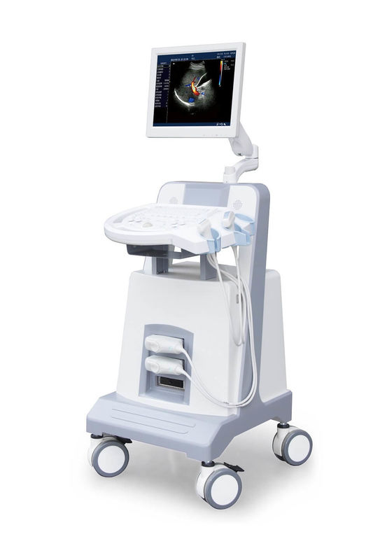 Giriş Seviyesi Arabası Renkli Doppler Ultrason Ultrasonik Teşhis Cihazı 500 GB