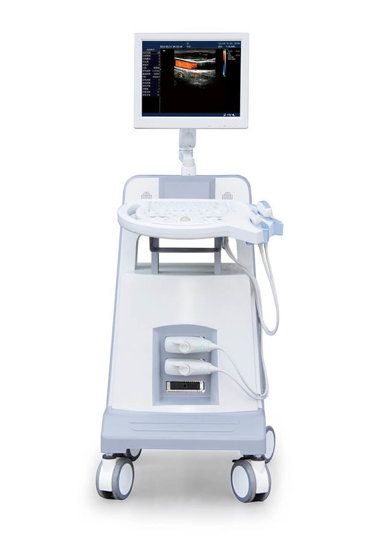 Giriş Seviyesi Arabası Renkli Doppler Ultrason Ultrasonik Teşhis Cihazı 500 GB