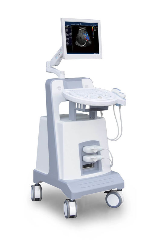 Giriş Seviyesi Arabası Renkli Doppler Ultrason Ultrasonik Teşhis Cihazı 500 GB
